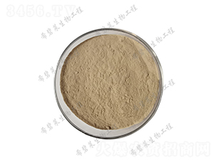 �z�|(zh��)ѿ�ߗU��-ϣ���R����