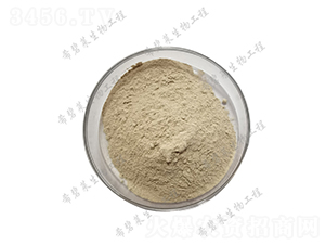 �����ѿ�ߗU��-ϣ���R����