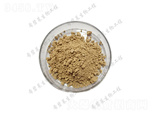 �ݲ�ѿ�ߗU��-ϣ���R����