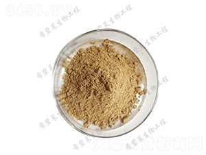 ����ѿ�ߗU��-ϣ���R����