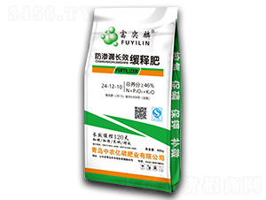 ���B©�LЧ��ጷ�24-12-10-������-���r(n��ng)�|��