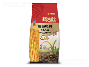 ��(f��)�Ϸ���28-6-6-�����-��Դ��ʢ