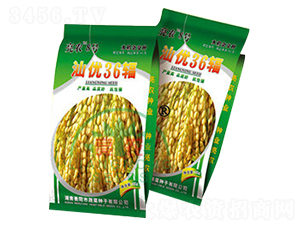 �ǃ�(y��u)36̖-ˮ���N��-���r