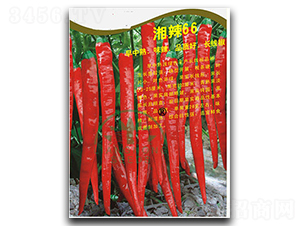 ����66-�����N��-���r(n��ng)