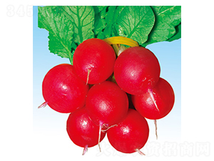 �tˮ��-�}���N��-�G����