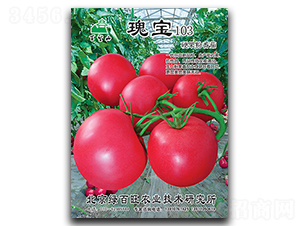 �匚103-���ѷN��-�G����