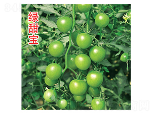 �G����-���ѷN��-�G����