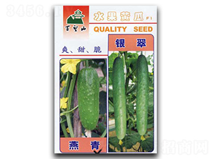 �y��-�S�ϷN��-�G����