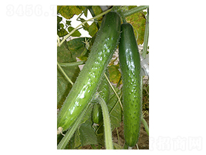 ����ˮ���S��-�S�ϷN��-�G����