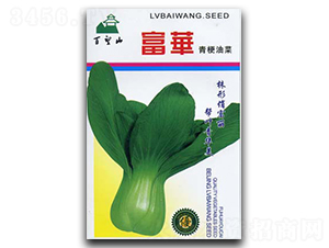 ���A-��˷N��-�G����