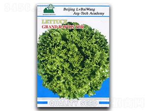 ����������-���˷N��-�G����