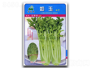 ����-���۷N��-�G����