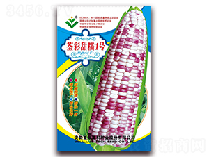 ������Ŵ1̖(h��o)-��Ŵ���׷N��-���y�ϲ�