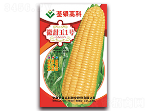 ������1̖(h��o)-�����׷N��-���y�ϲ�