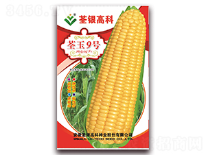 ����9̖(h��o)-Ŵ���׷N��-���y�ϲ�