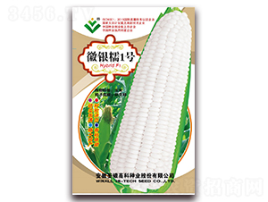 ���yŴ1̖(h��o)-Ŵ���׷N��-���y�ϲ�