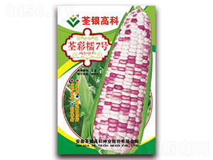 ����Ŵ7̖(h��o)-Ŵ���׷N��-���y�ϲ�