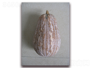 �翹958-�ϹϷN��-���y�ϲ�