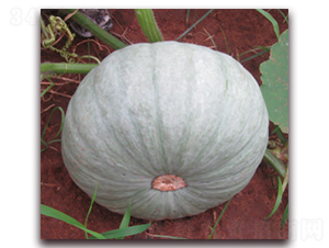 ����112-�ϹϷN��-���y�ϲ�