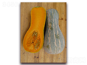 ���S��-�ϹϷN��-���y�ϲ�