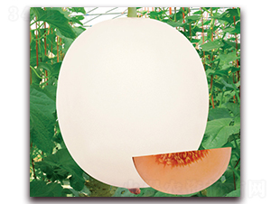 ������9̖(h��o)-��ϷN��-���y�ϲ�