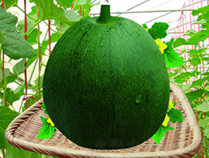 �G����-��ϷN��-���y�ϲ�