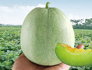 �������-��ϷN��-���y�ϲ�