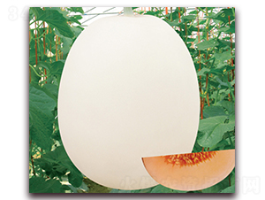 ������7̖(h��o)-��ϷN��-���y�ϲ�