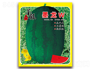 ī��W-���ϷN��-���y�ϲ�