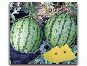 ���m-���ϷN��-���y�ϲ�