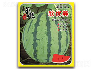 ����(y��u)��-���ϷN��-���y�ϲ�