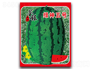 �G����̖-���ϷN��-���y�ϲ�