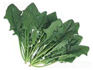 ȫ�ܲ���-���˷N��-������