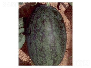 ���������-���ϷN��-������