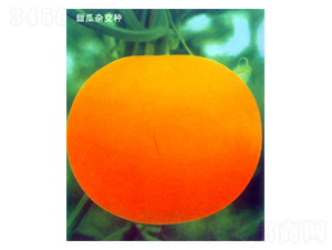 ������(y��u)�x����ɯ��-��ϷN��-������