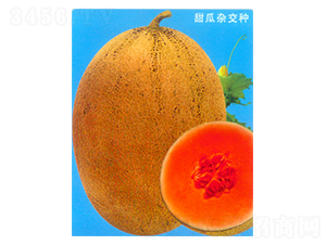 ����һ̖-��ϷN��-������