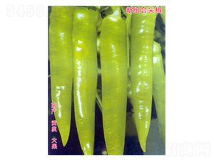 ���S819-�����N��-������