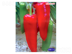 �пƽ�106-�����N��-������