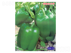 �пƽ�105-�����N��-������