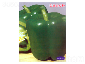 �����D-�����N��-������