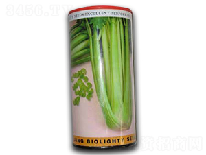 ���m����-�۲˷N��-������