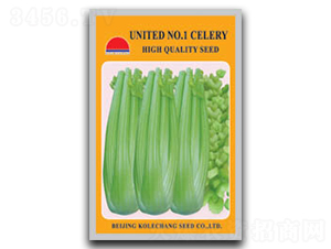 ������1̖-�۲˷N��-������