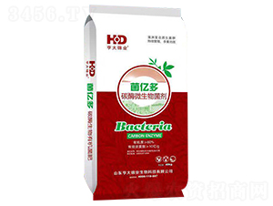 ̼ø�����ЙC����-���|��-����\�I(y��)