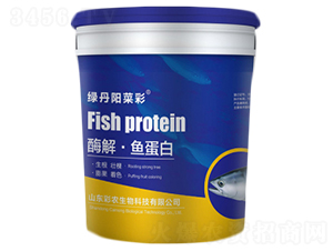 ø�⡤�~����-�G��ꖲ˲�