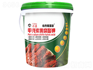 �ך����S�����-�G��ꖲ˲�