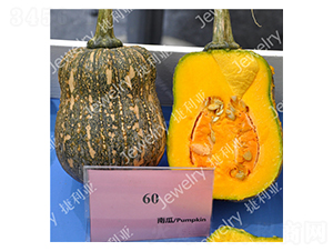 ����60-�ϹϷN��-������