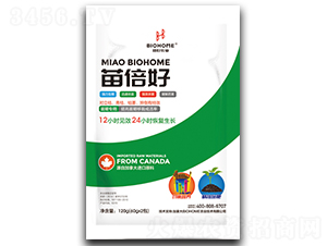 �籶�ã��~�������Ԍ��ã�-������