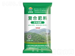 ɼľ׷�ʏ�(f��)�Ϸ���11-11-8-�A����