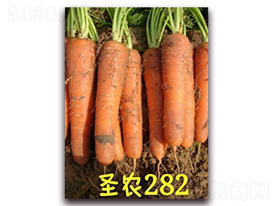 ʥ�r(n��ng)���}��282-���}���N��-ʥ�r(n��ng)�߿�