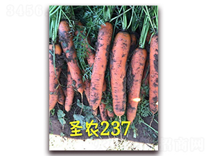 ʥ�r(n��ng)���}��237-���}���N��-ʥ�r(n��ng)�߿�